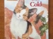 Kitten in the cold - Lucy Daniels