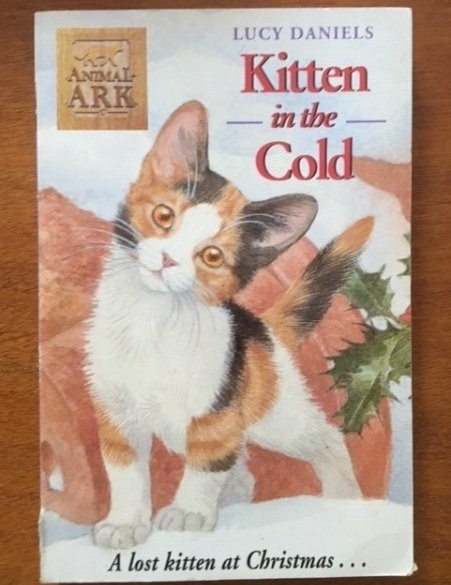 Kitten in the cold - Lucy Daniels