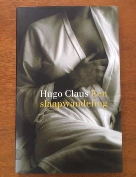 Een slaapwandeling - Hugo Claus