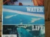 3 dvd  Earth - Water - Life