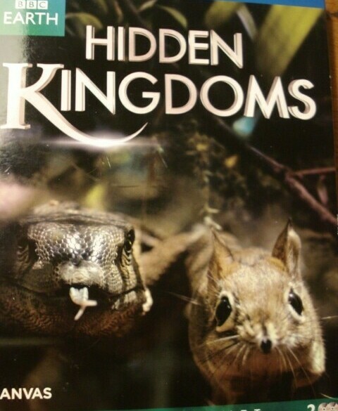 Hidden Kingdoms