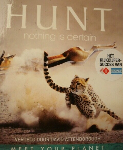 The Hunt