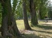 Gebied aan de noordelijke oever van het Balatonmeer