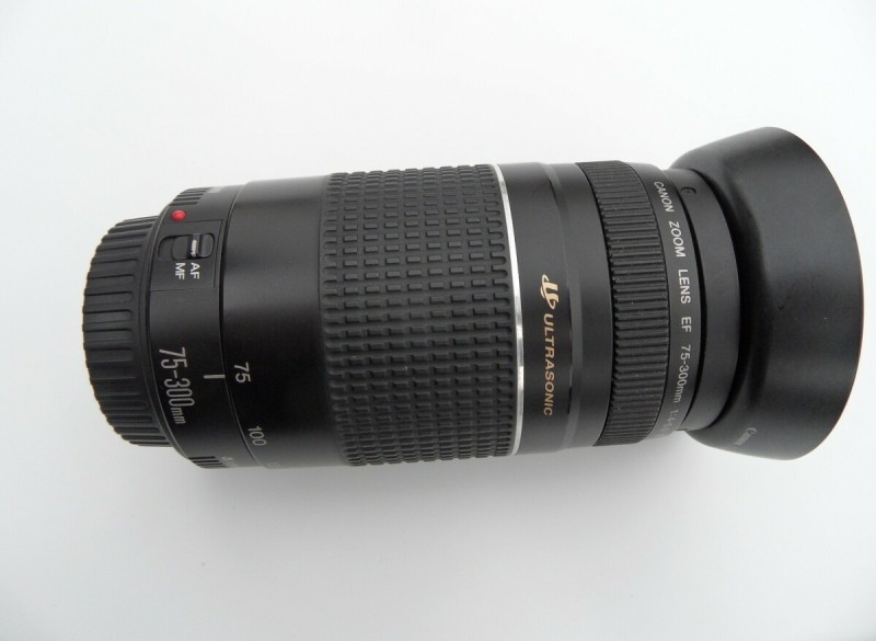 Canon zoomlens   75 - 300 mm