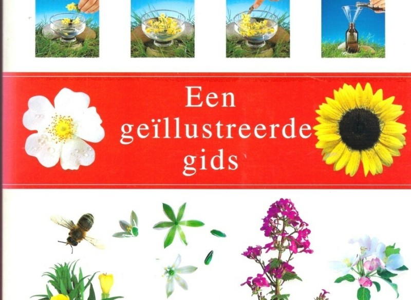 Boek Bloesemtherapie een geillustreerde gids